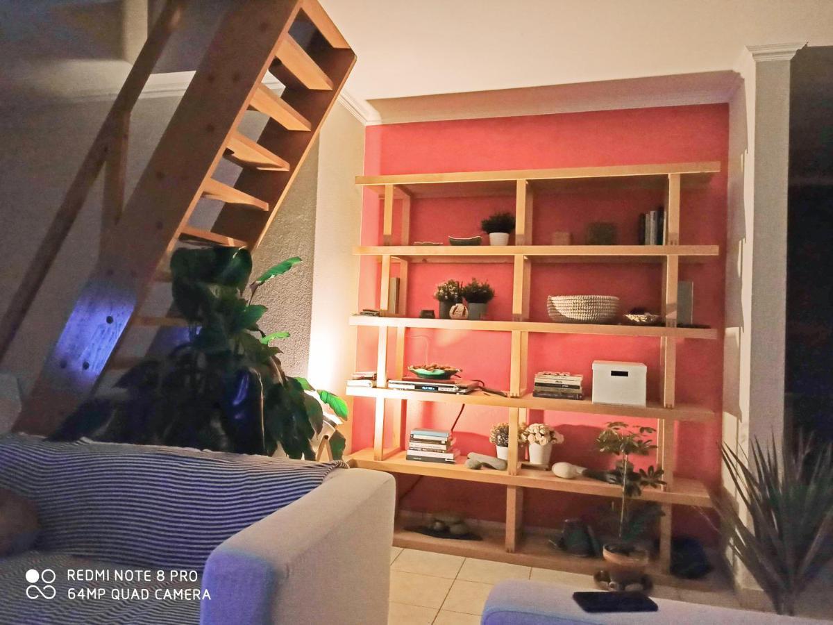 Apartmento Soma 阿尔热祖尔 外观 照片