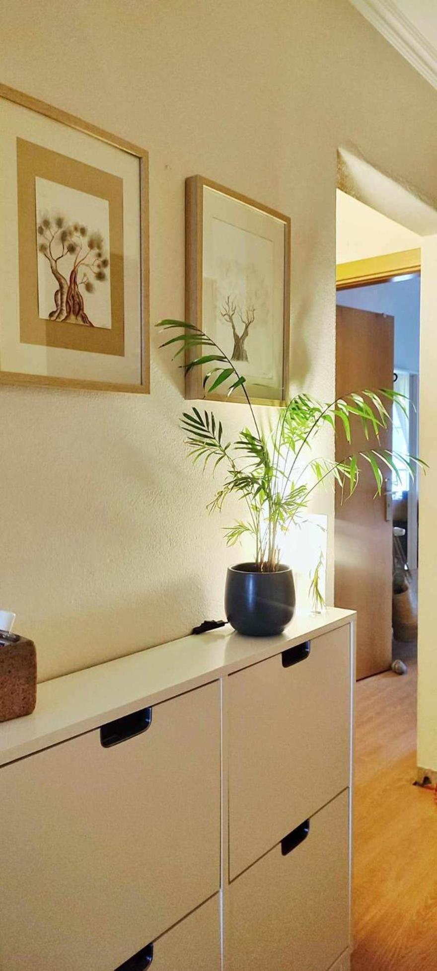 Apartmento Soma 阿尔热祖尔 外观 照片